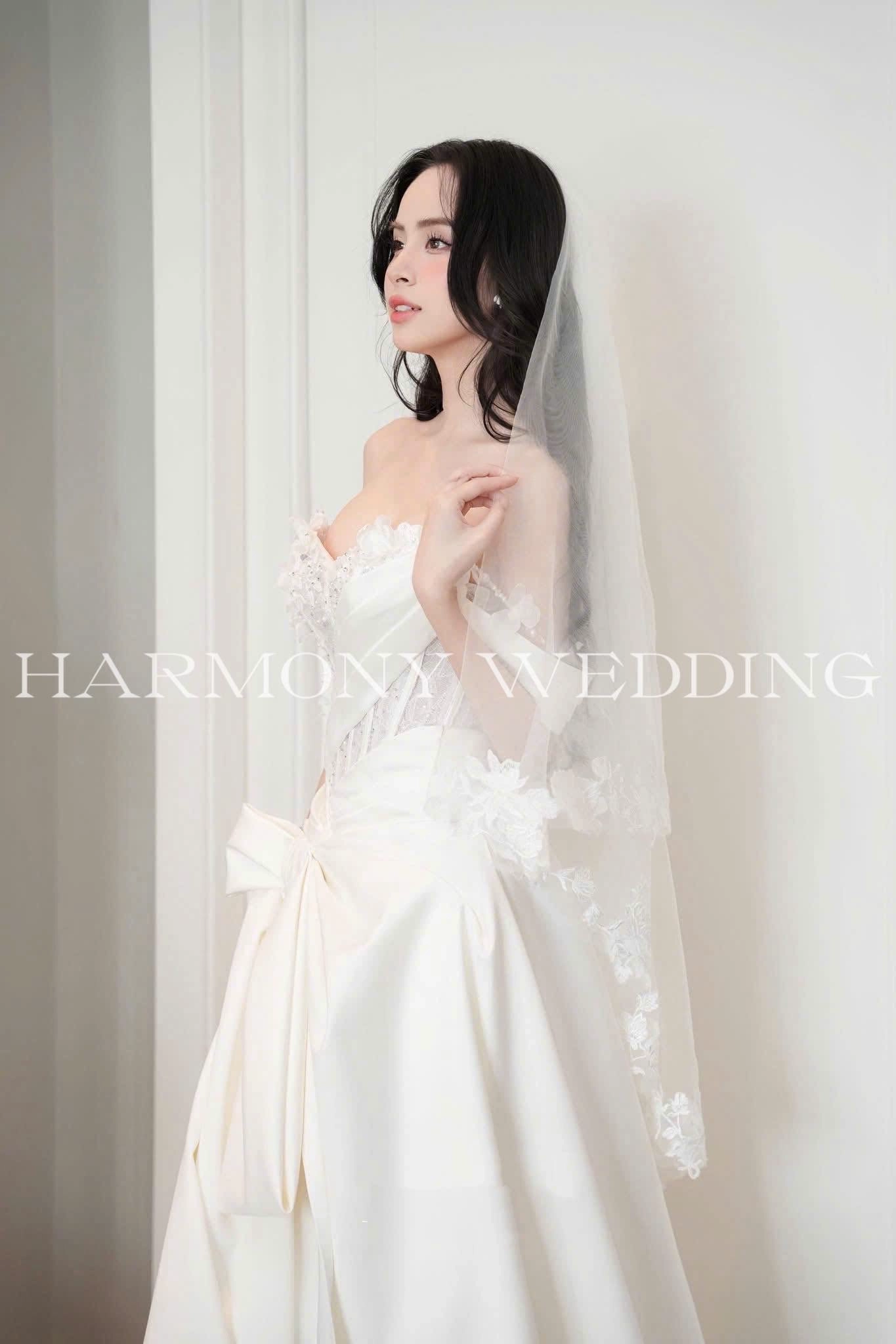 Mẫu váy thiết kế Harmony Wedding - Váy Cưới Diamond